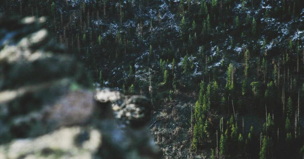 The Top 10 Best Mental Health Counselors in Houston, TX You Need to Know