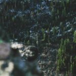 The Top 10 Best Mental Health Counselors in Houston, TX You Need to Know