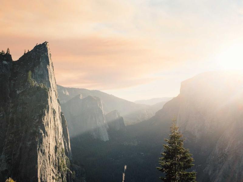 Vast Counseling Services