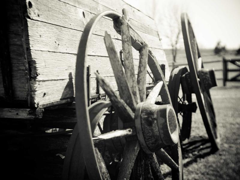 D-Guard Security System